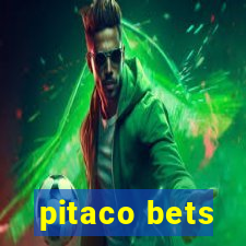 pitaco bets